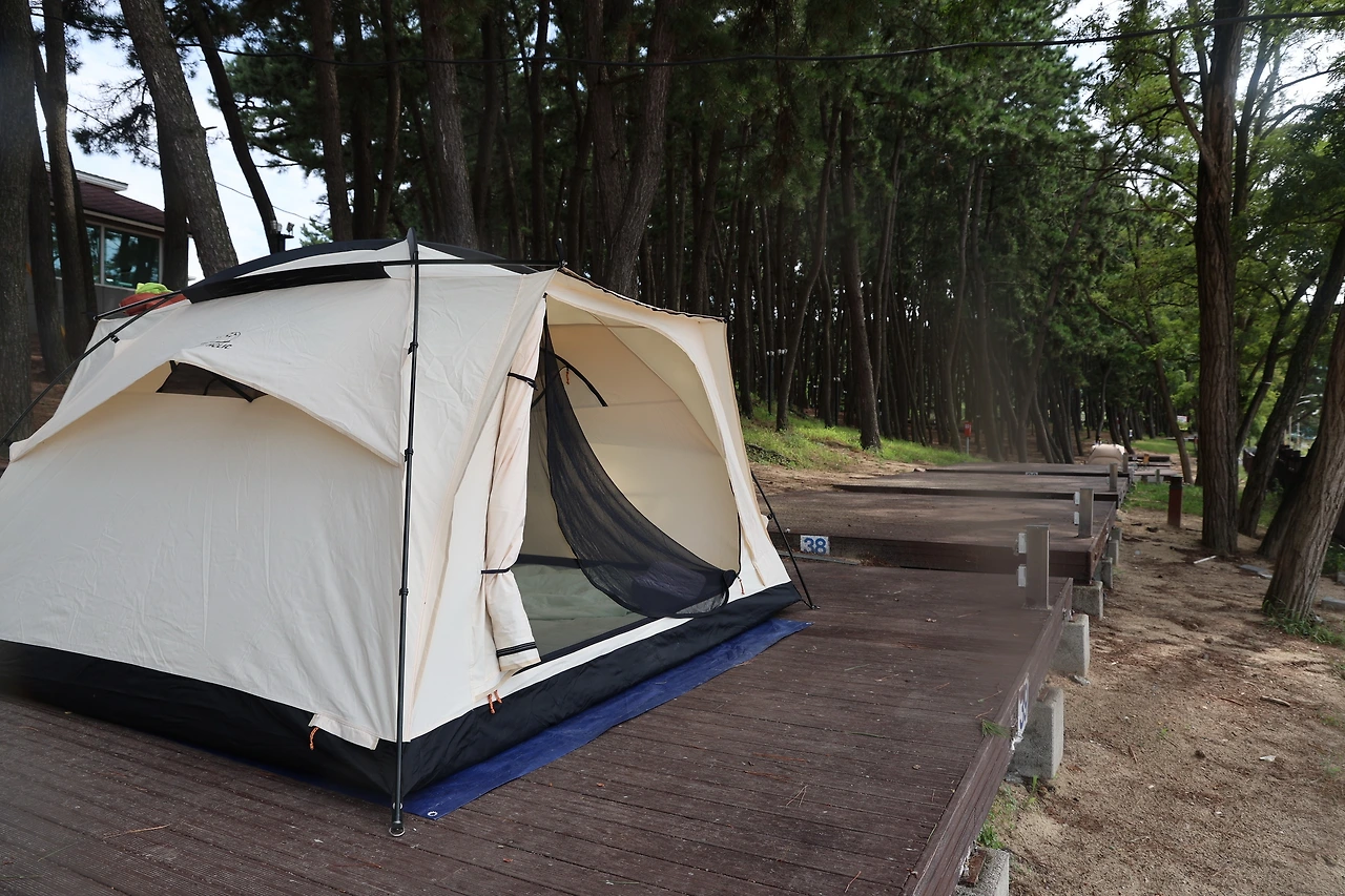 0R5A4420_новый размер.JPG