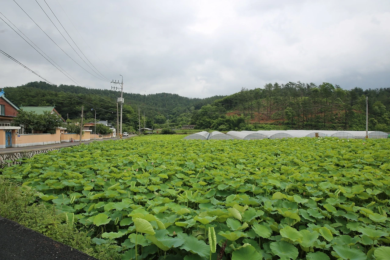 MG0A3671_новый размер.JPG