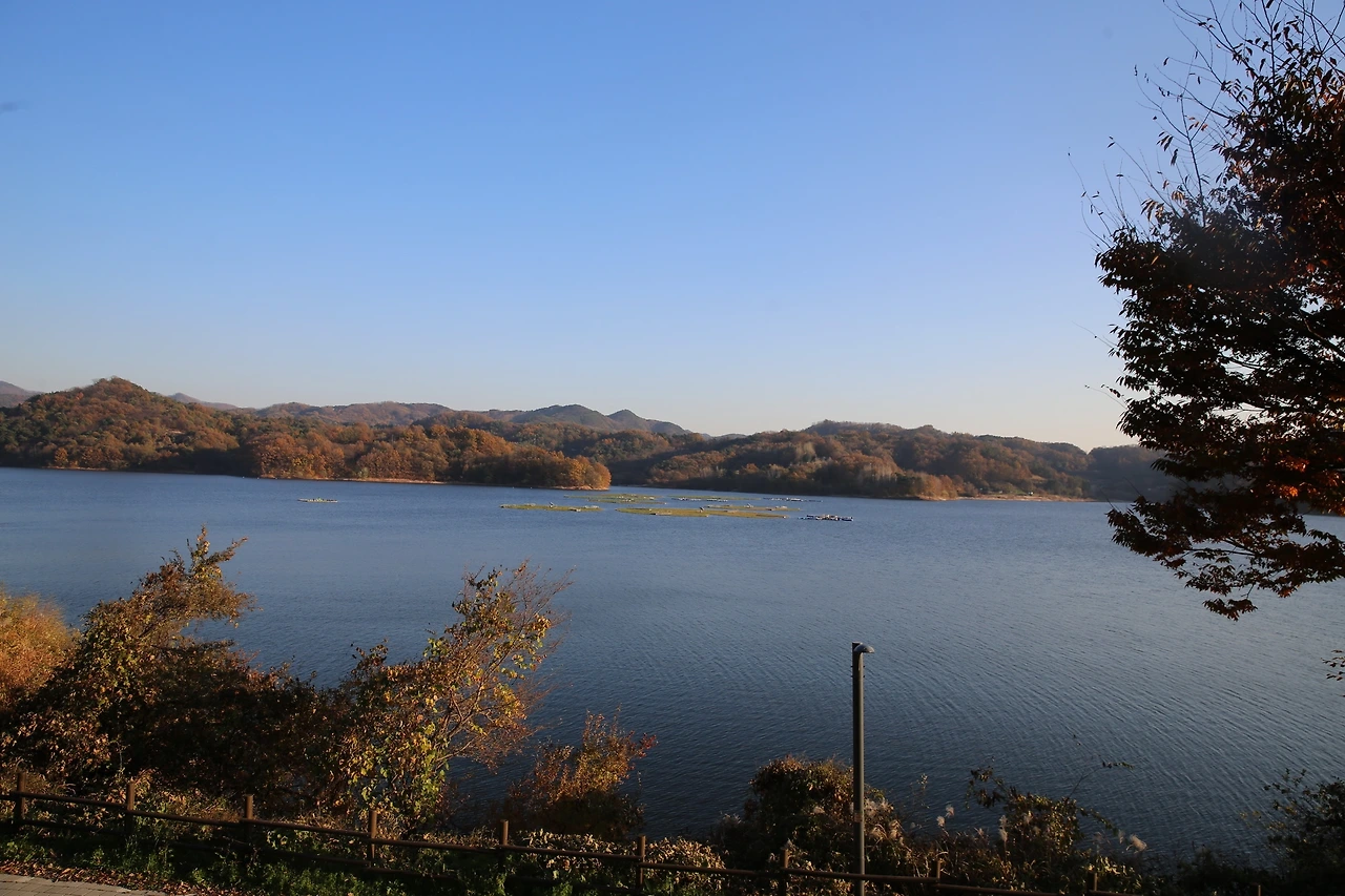 MG0A1373_новый размер.JPG