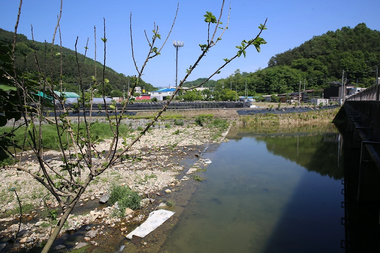 MG0A4147_новый размер.JPG