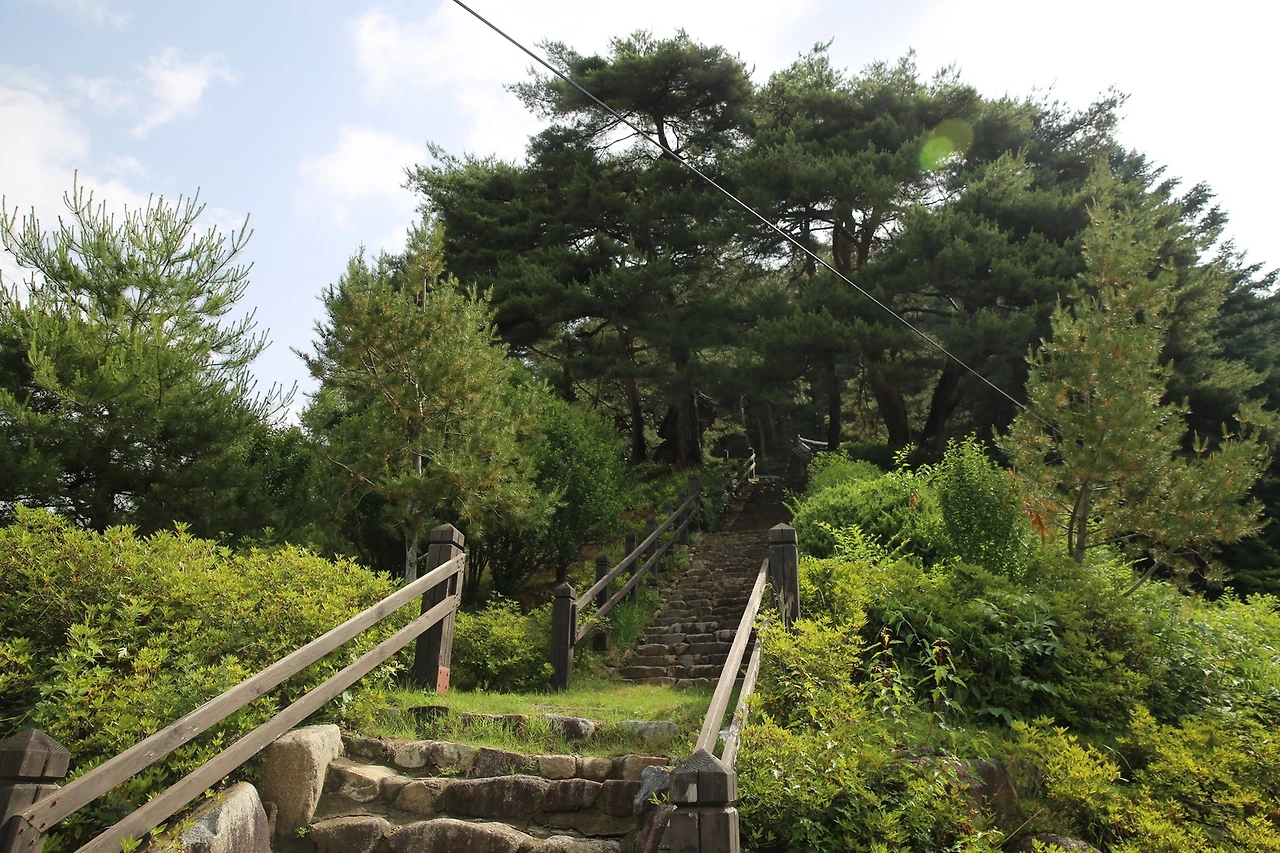 MG0A0674_новый размер.JPG