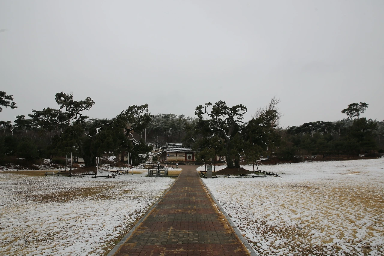 MG0A0638_новый размер.JPG