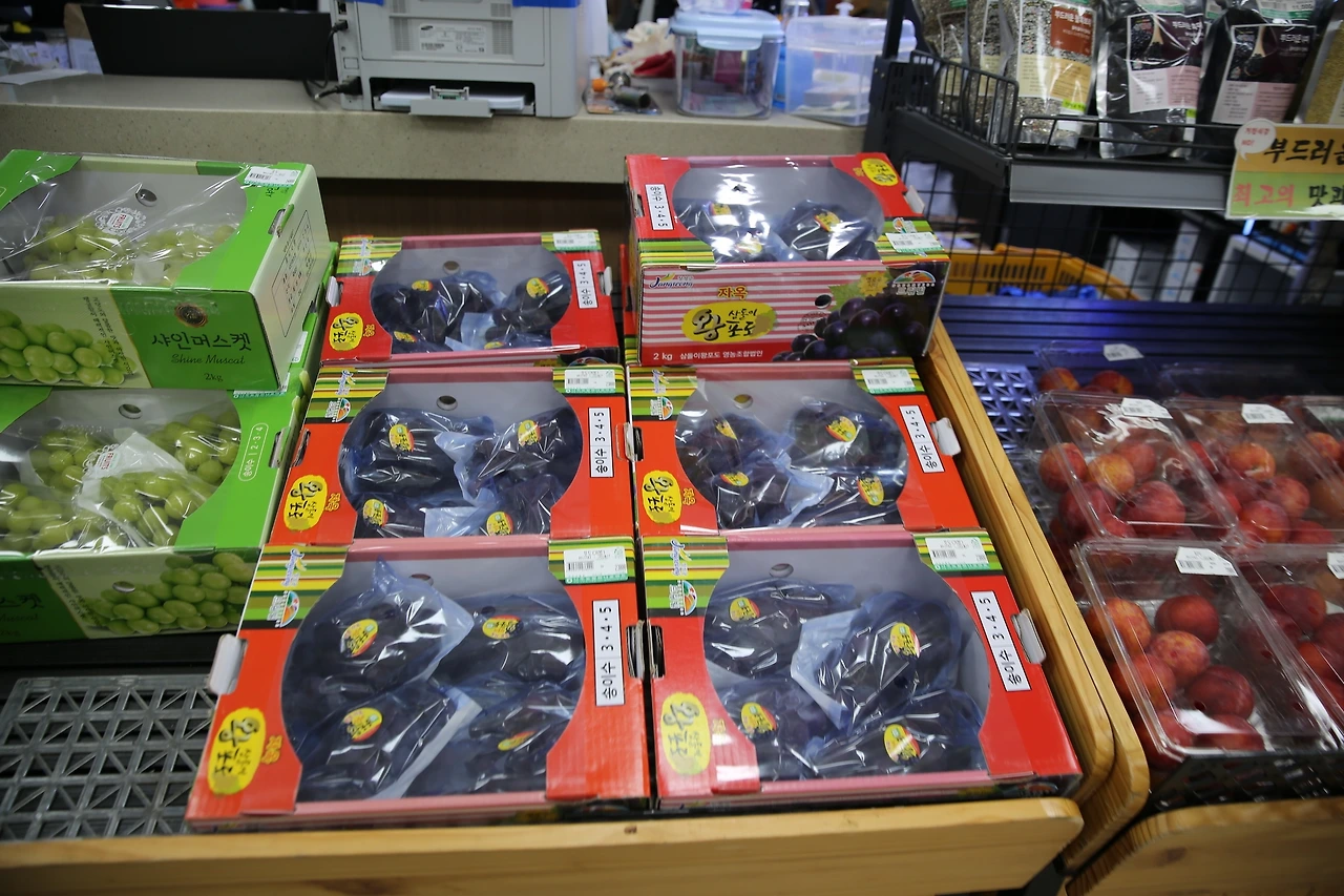 MG0A3008_новый размер.JPG