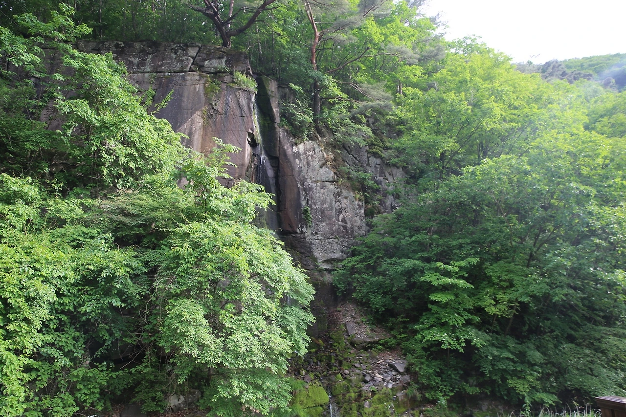 MG0A9883_новый размер.JPG