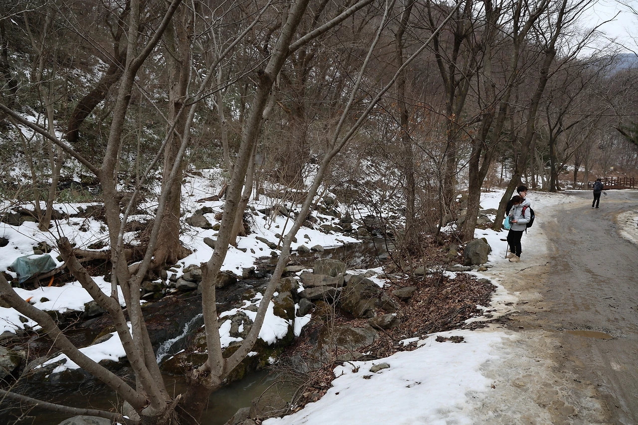 0R5A9559_новый размер.JPG