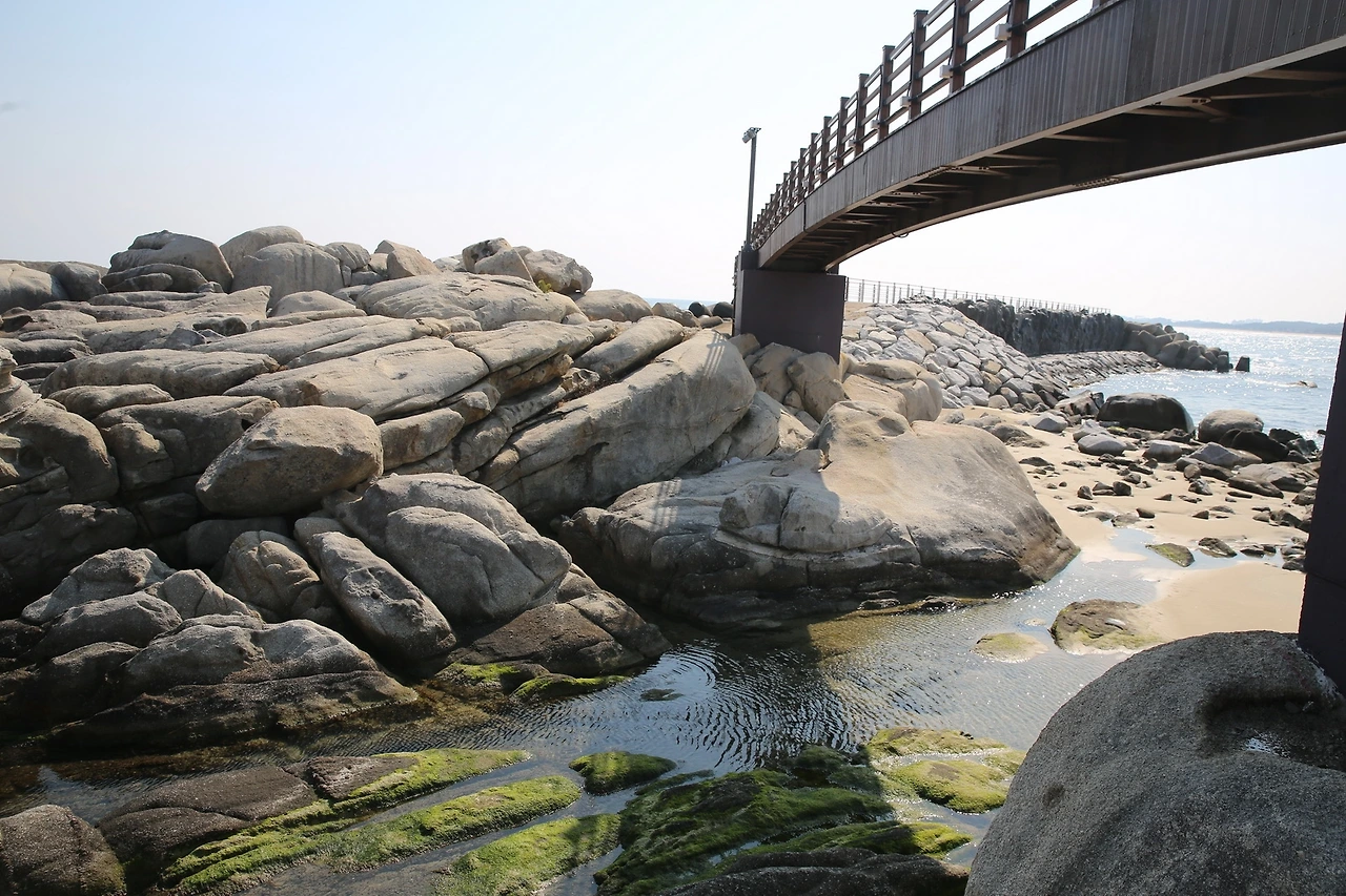 MG0A5093_новый размер.JPG