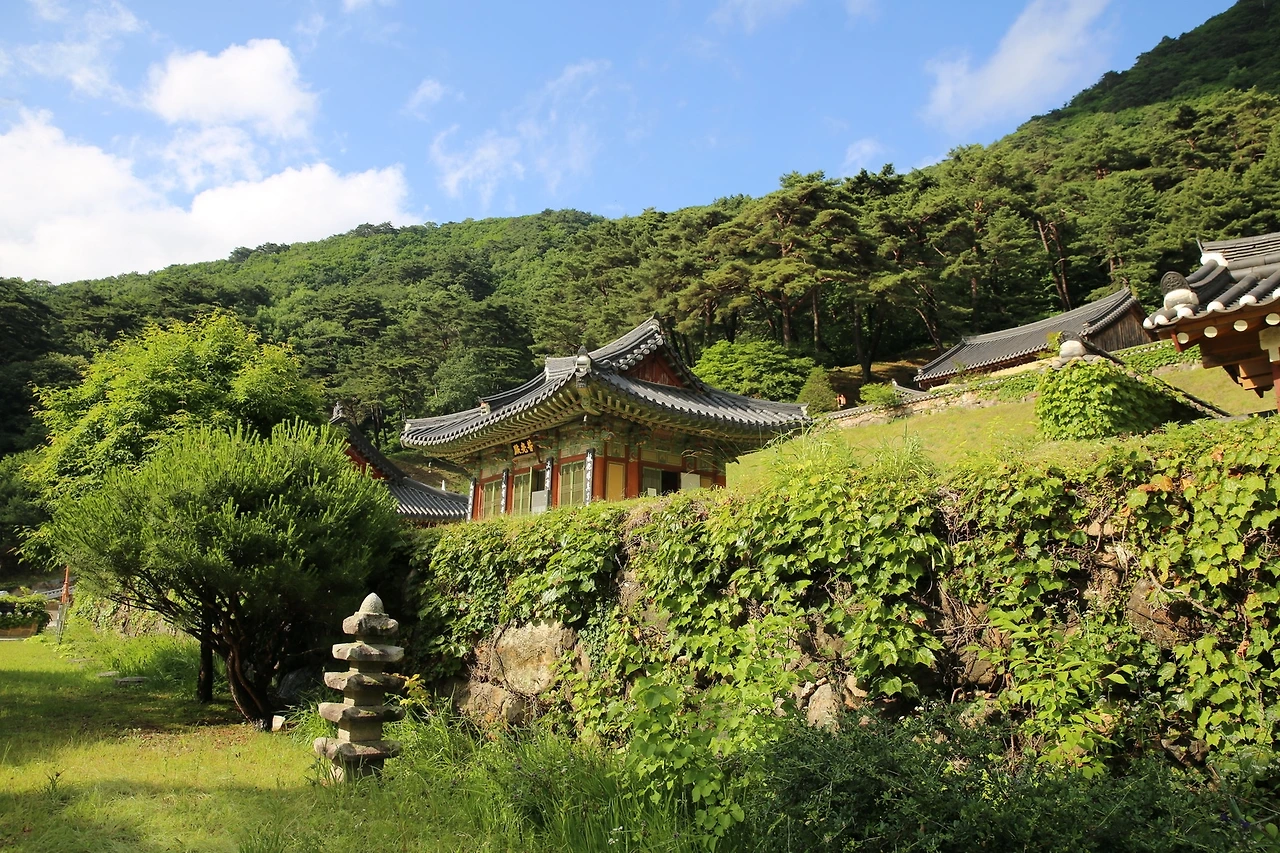 MG0A0506_новый размер.JPG