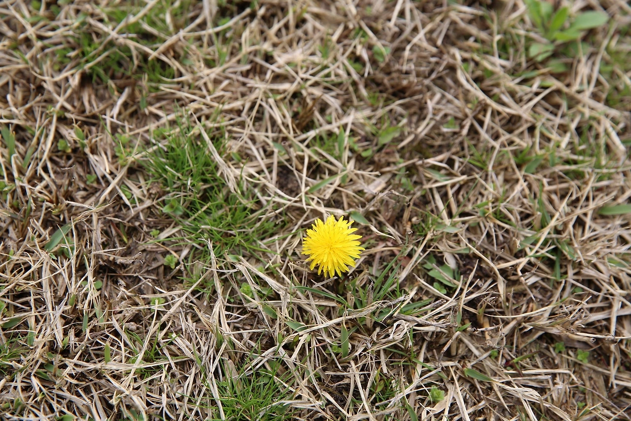 MG0A8243_новый размер.JPG