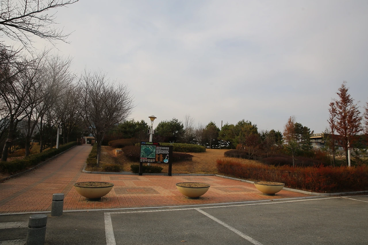 MG0A1779_новый размер.JPG