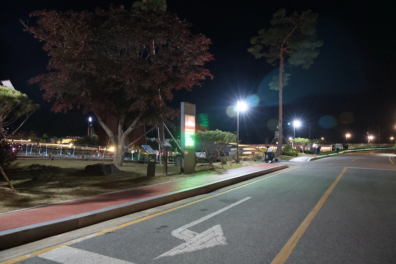 0R5A3131_новый размер.JPG