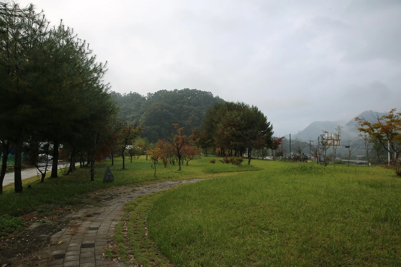 MG0A5569_новый размер.JPG