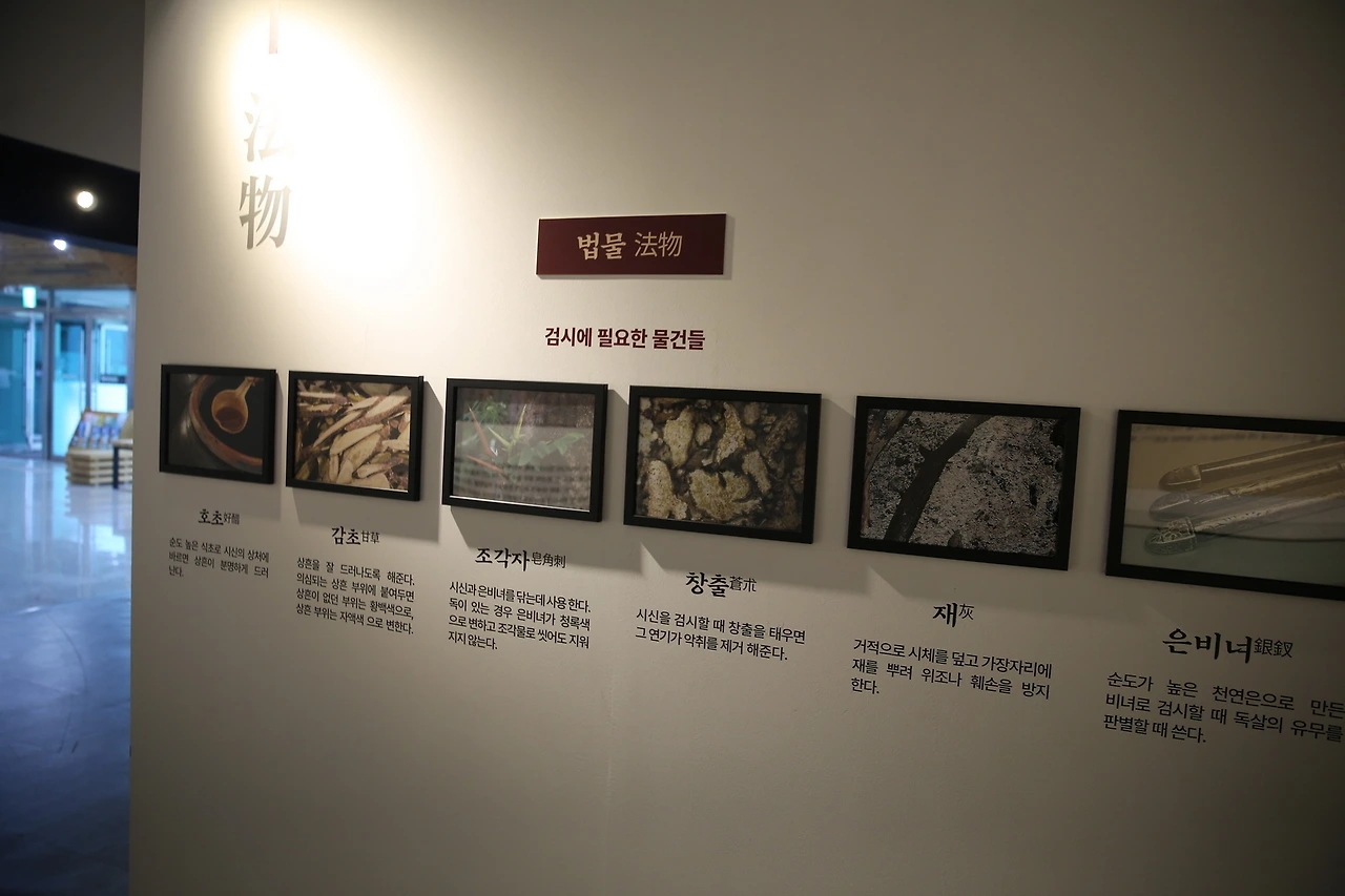 MG0A2973_новый размер.JPG