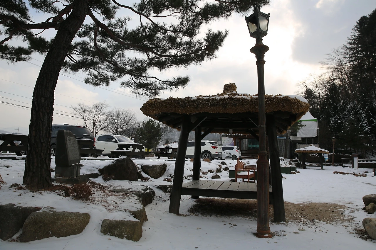 MG0A4330_новый размер.JPG