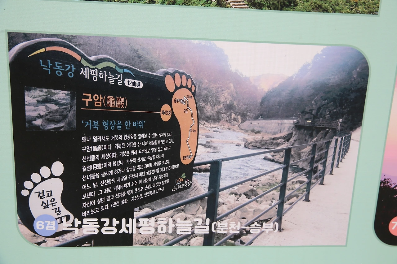 MG0A4712_новый размер.JPG