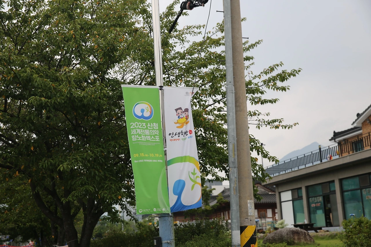 MG0A2791_новый размер.JPG