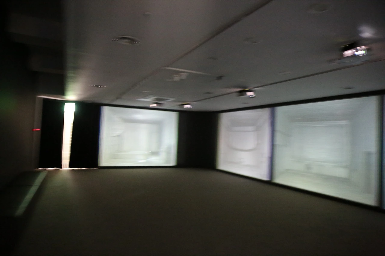 MG0A0872_новый размер.JPG