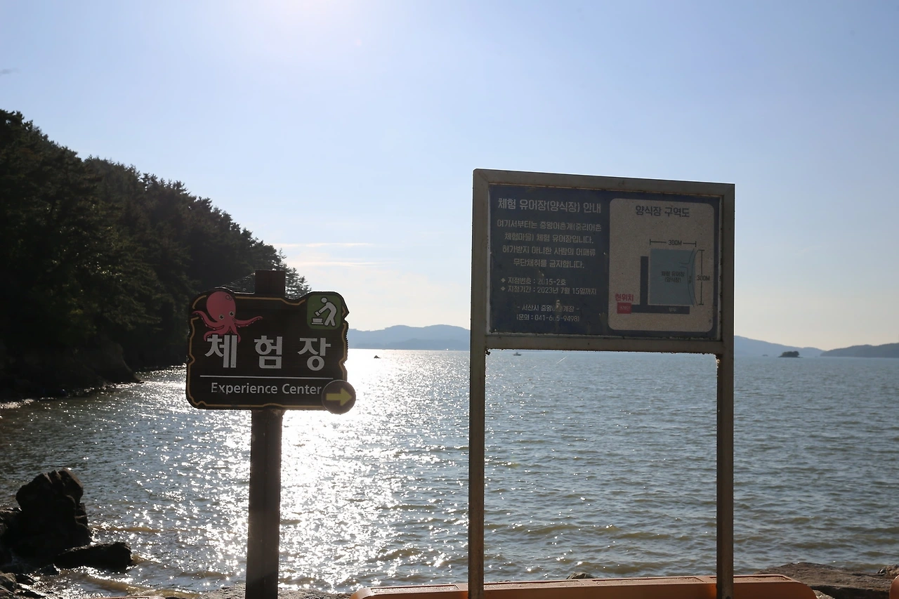 MG0A9263_новый размер.JPG