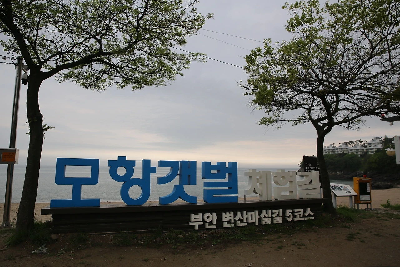 MG0A0642_новый размер.JPG