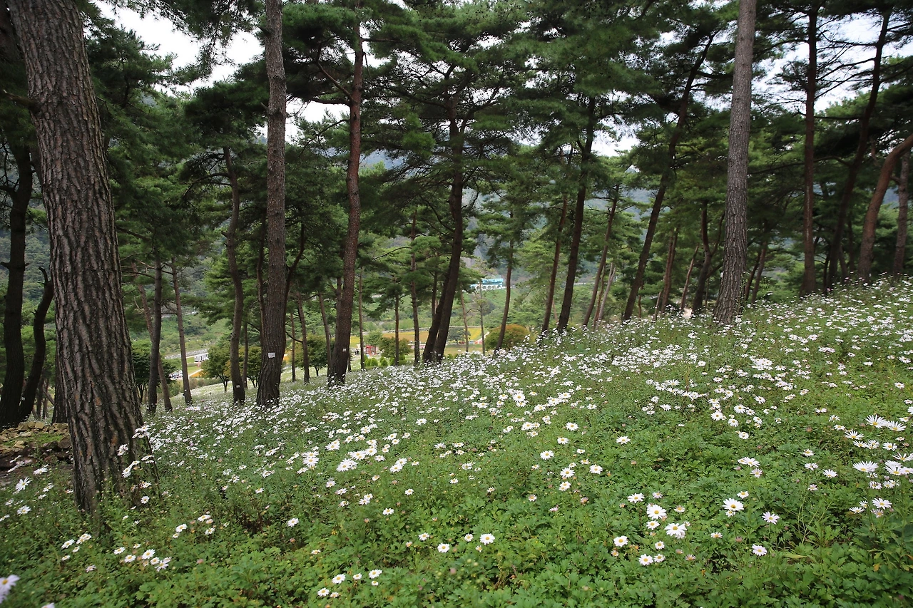 MG0A4778_новый размер.JPG