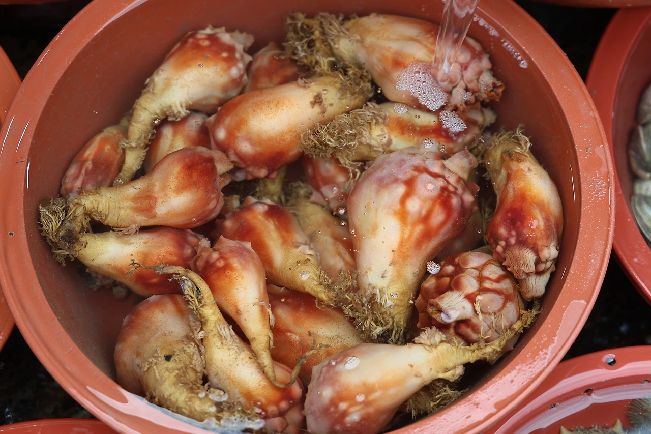 0R5A6686_новый размер.JPG