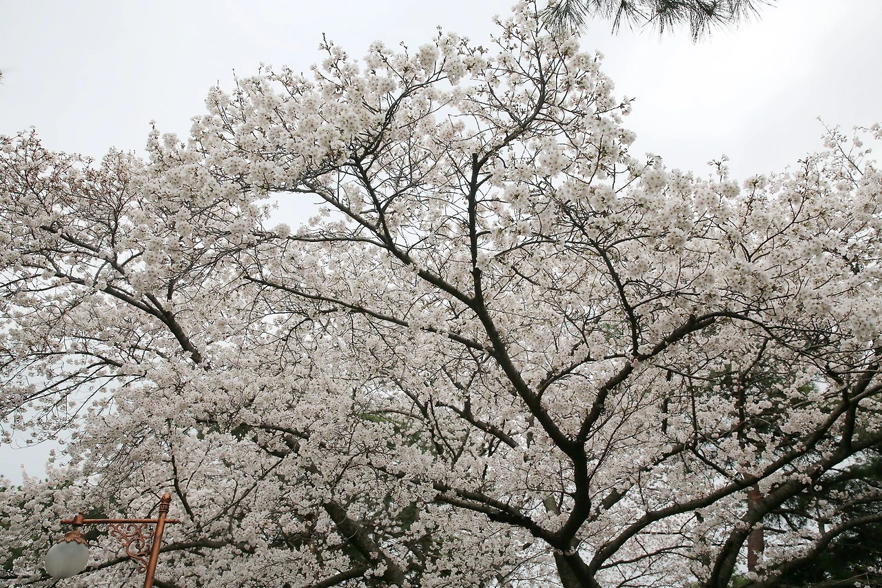 MG0A8198_новый размер_exposure.JPG