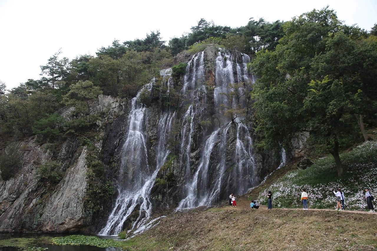 MG0A4765_новый размер.JPG