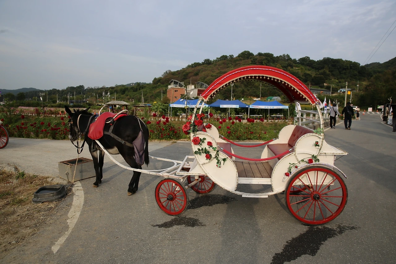 MG0A5108_новый размер.JPG