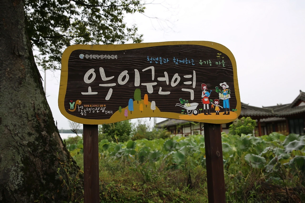 MG0A1646_новый размер.JPG