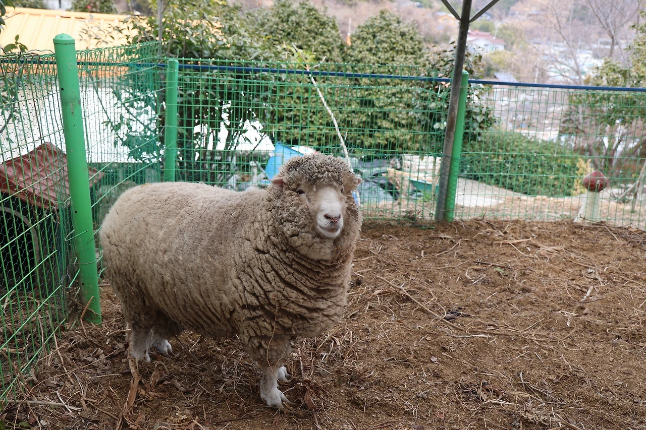 0R5A2290_новый размер.JPG