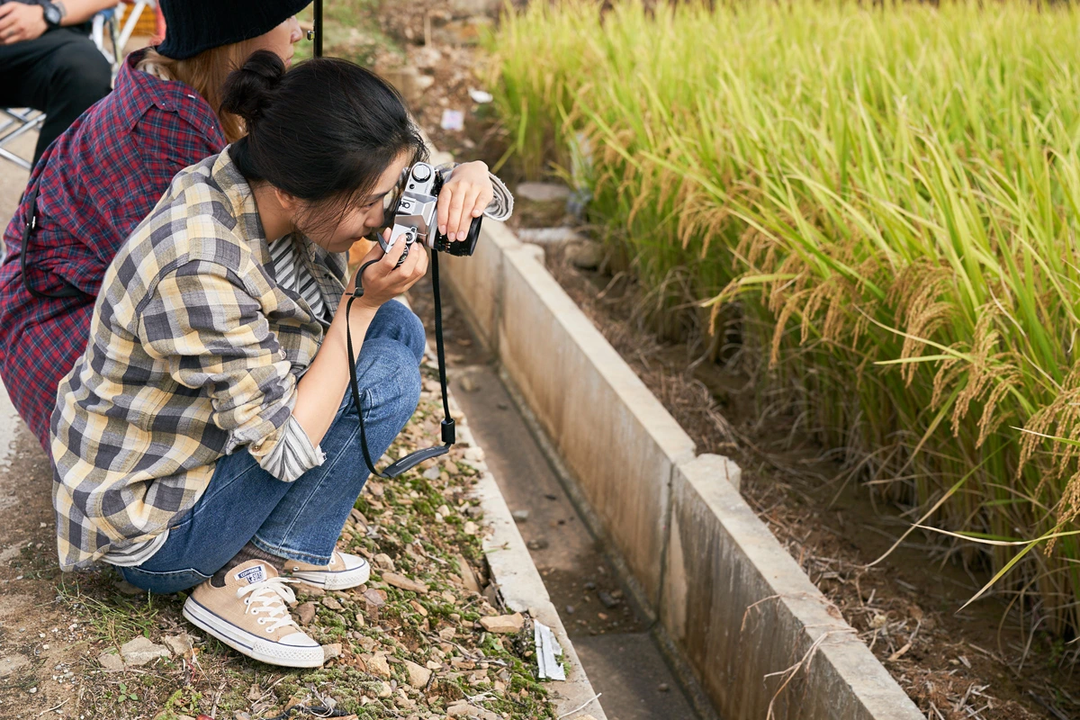 1960985728e6676b397efde25ff0387647f6e4ae.jfif