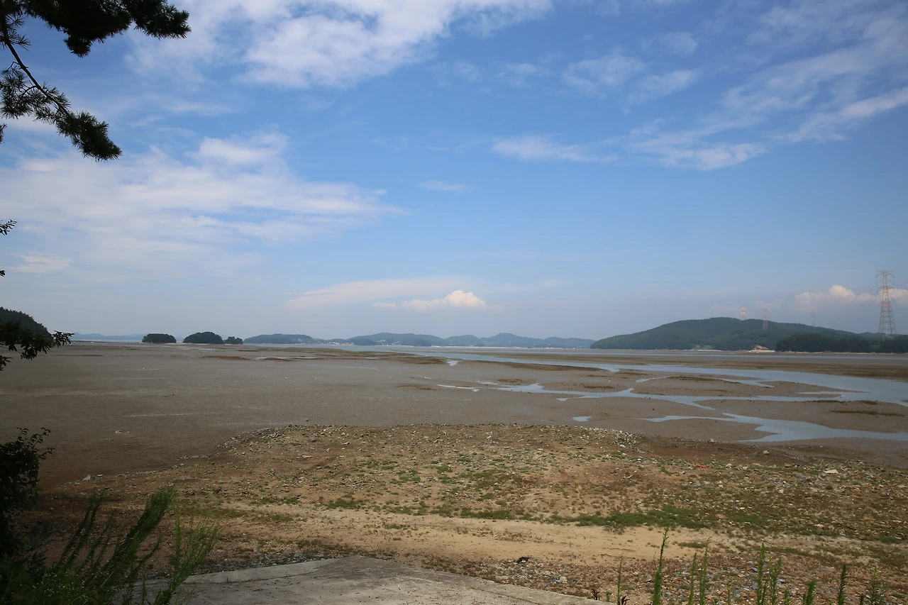 MG0A7016_новый размер.JPG