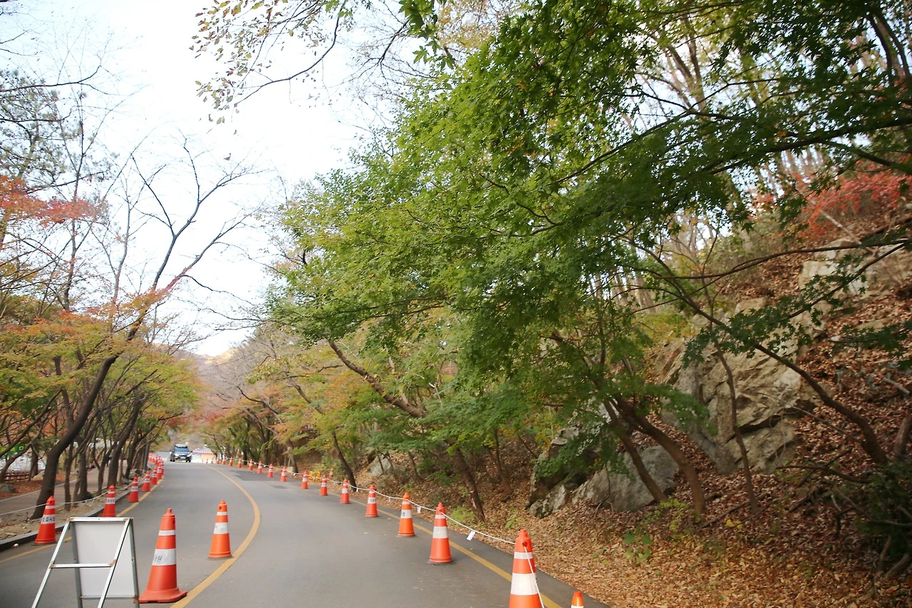 MG0A0667_новый размер_exposure.JPG