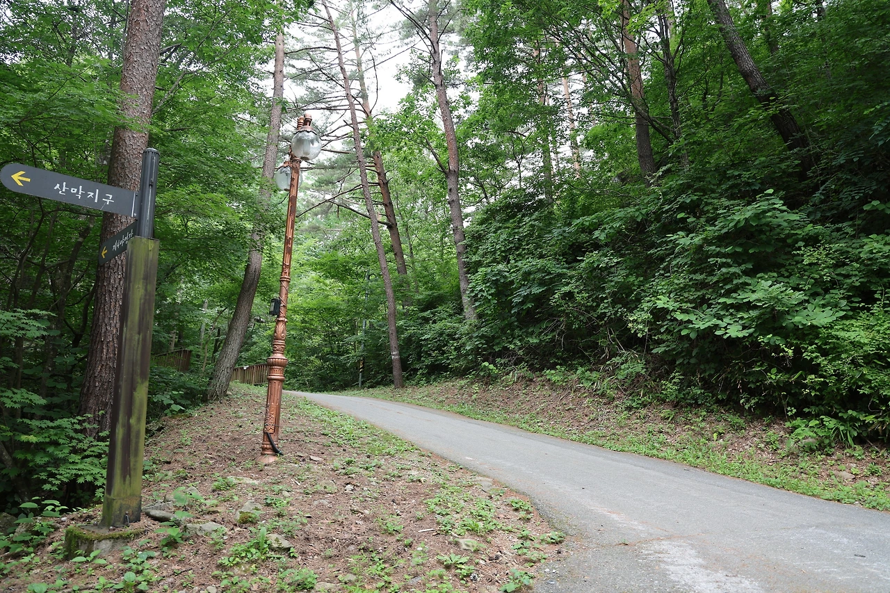 0R5A8666_новый размер.JPG