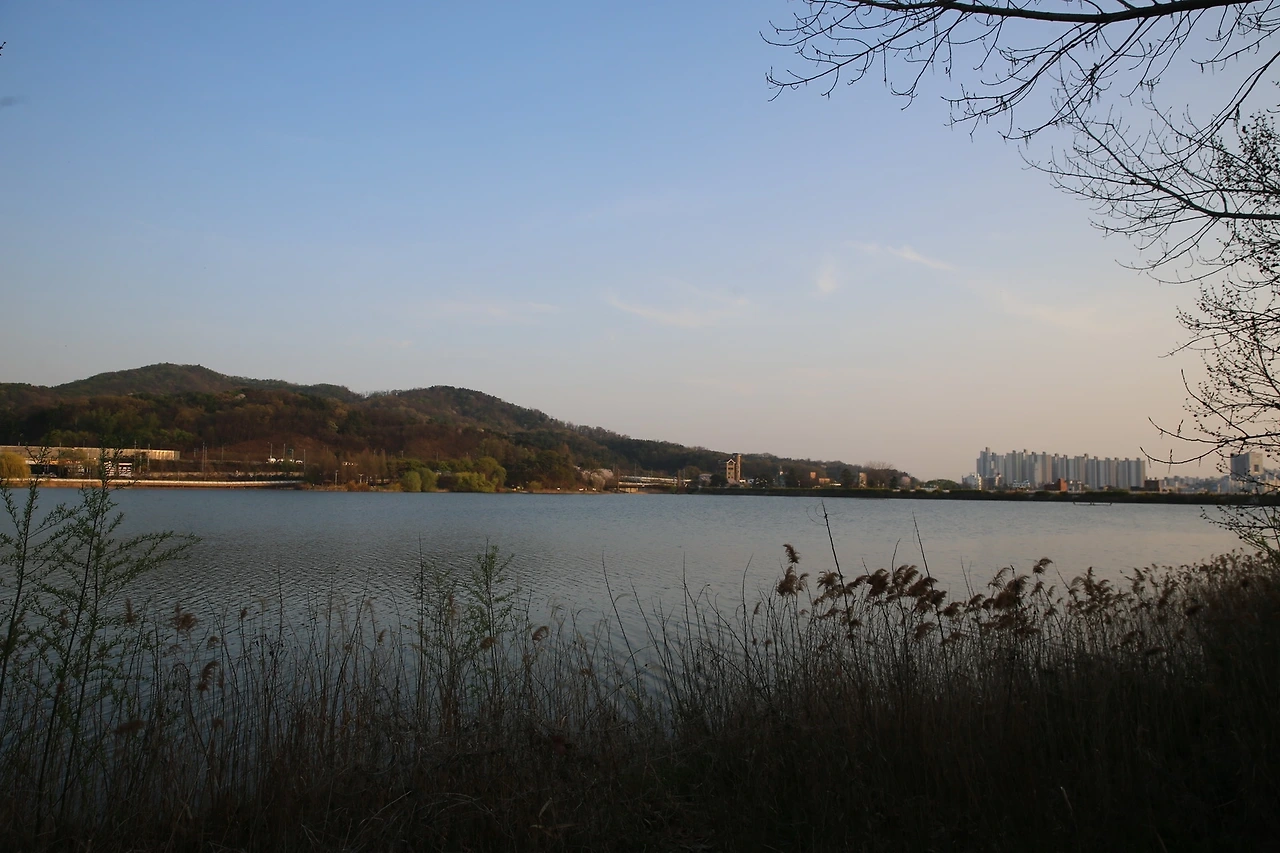 MG0A8913_новый размер.JPG