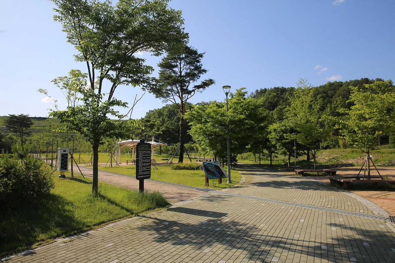 MG0A9501_новый размер.JPG