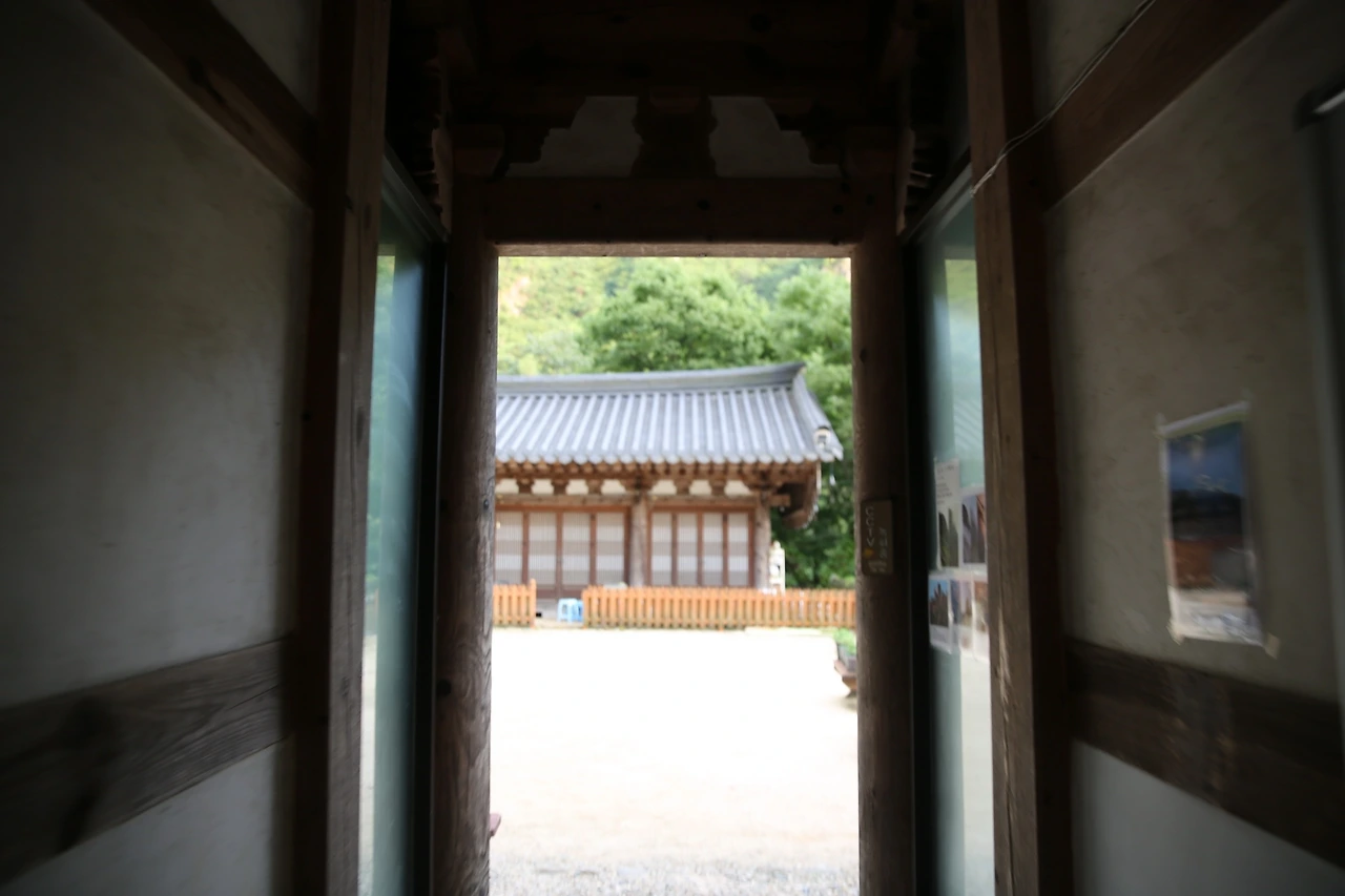 MG0A4545_новый размер.JPG