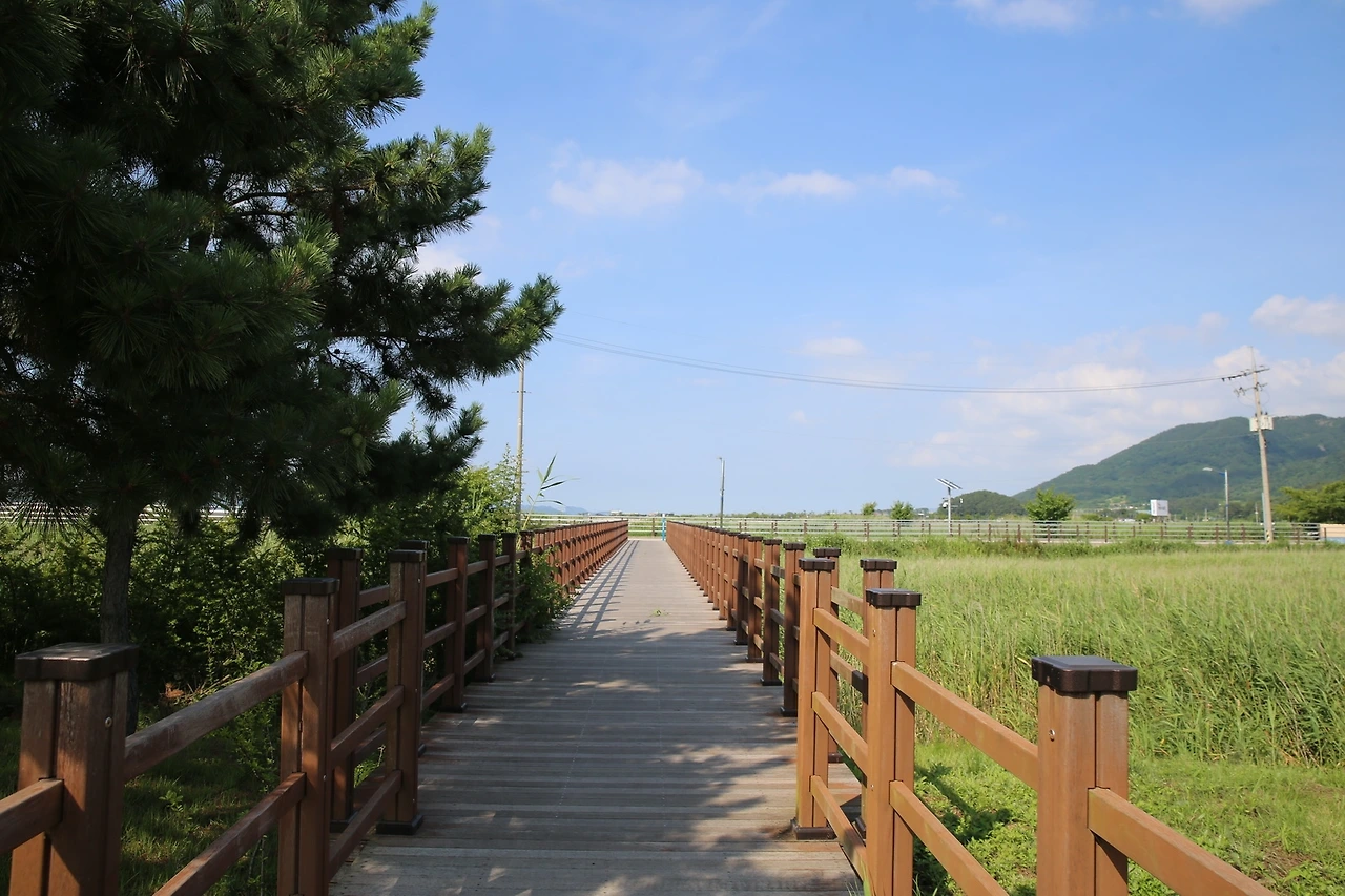 MG0A4604_новый размер.JPG