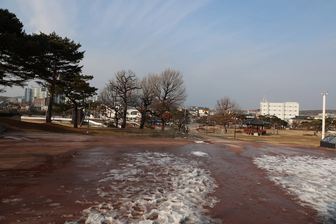 0R5A7633_новый размер.JPG