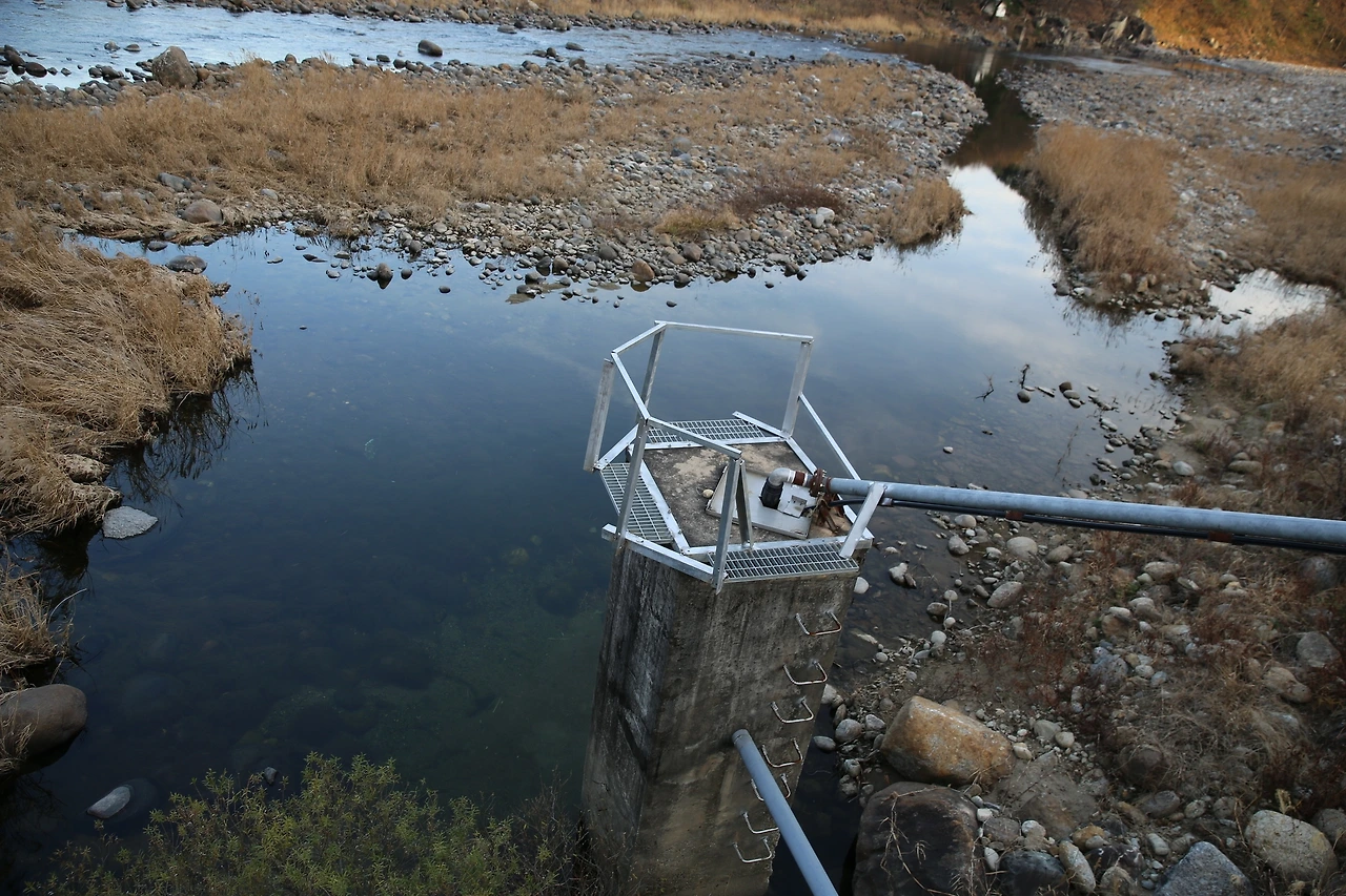 MG0A3768_новый размер.JPG