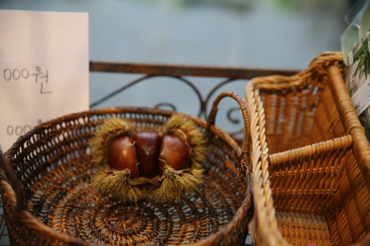 MG0A3280_новый размер.JPG