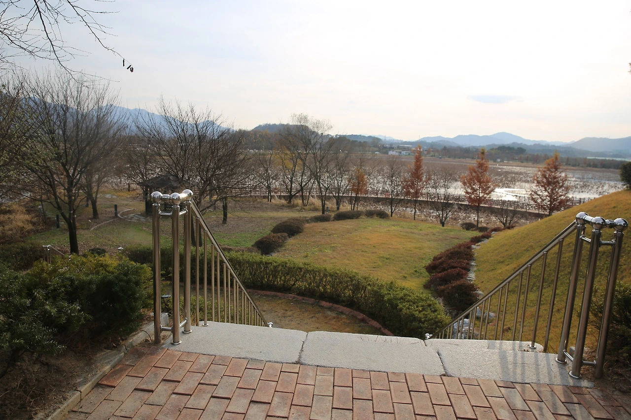 MG0A1785_новый размер.JPG