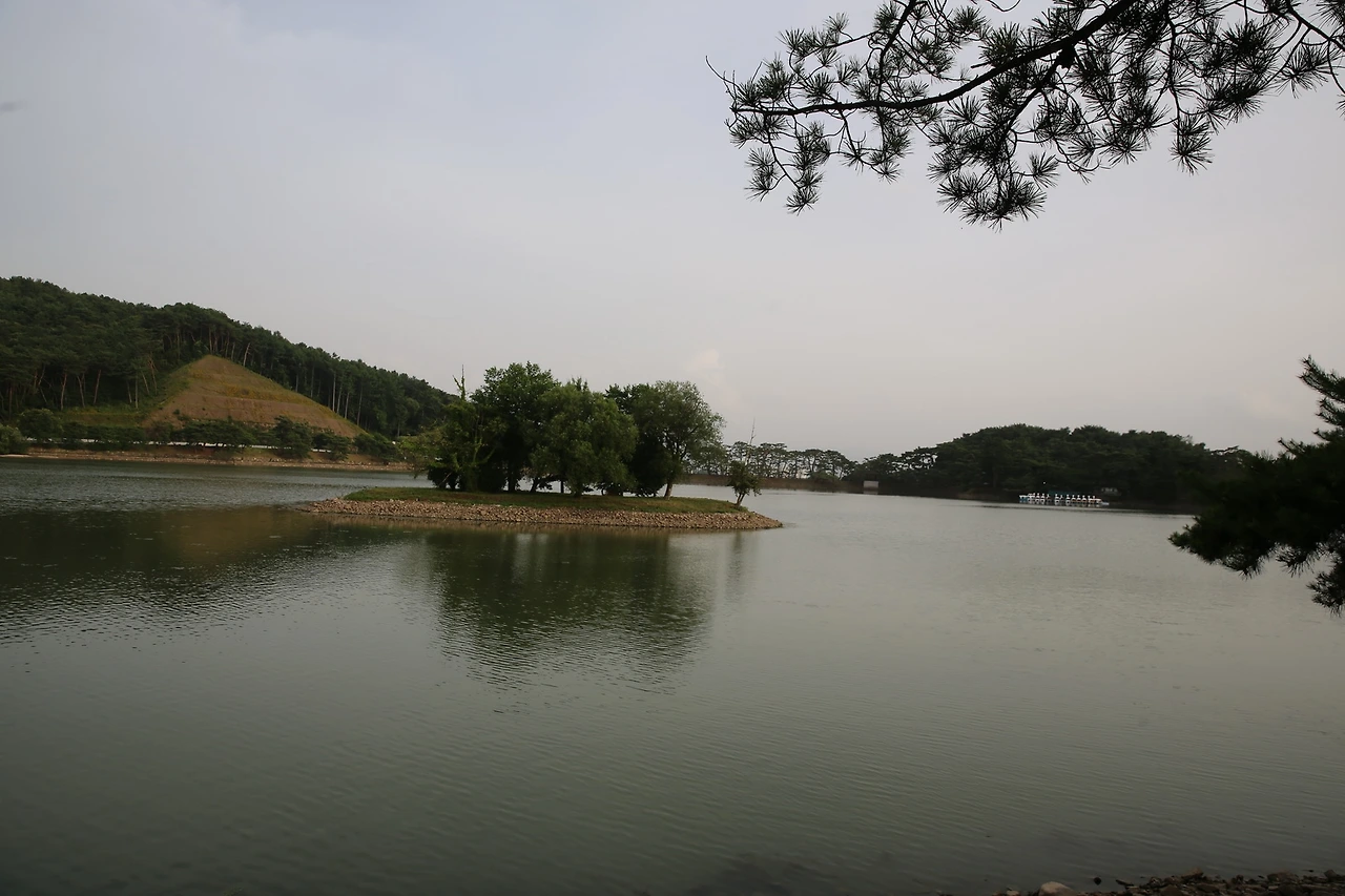 MG0A1205_новый размер.JPG