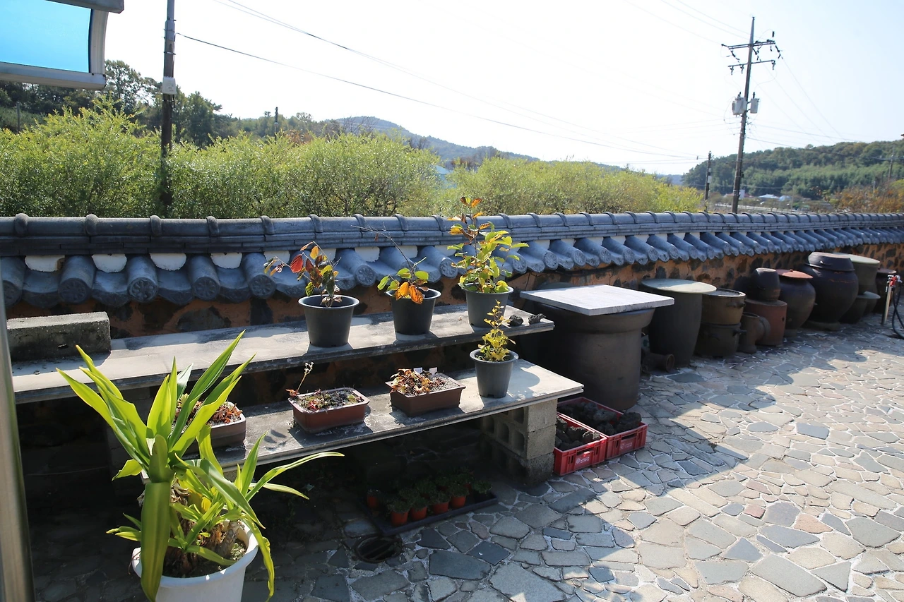 MG0A8504_новый размер.JPG