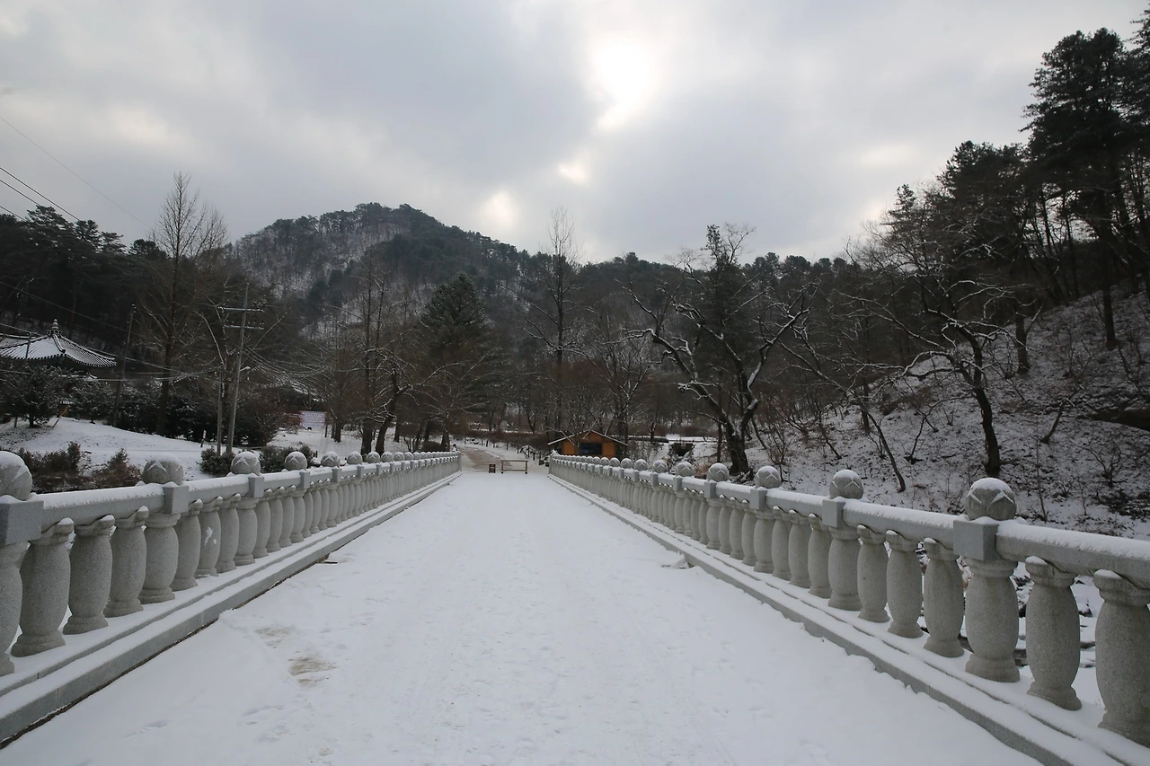 MG0A6337_новый размер.JPG