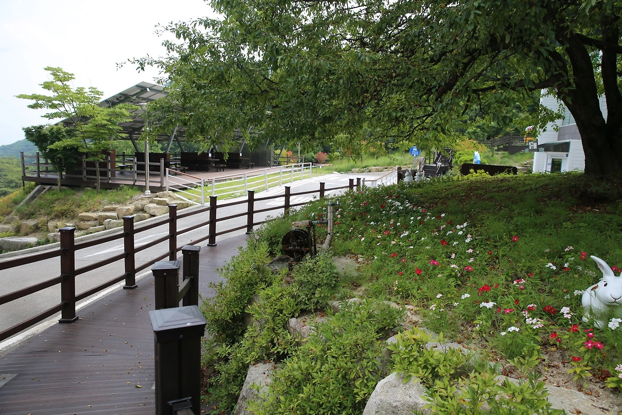 MG0A7463_новый размер.JPG