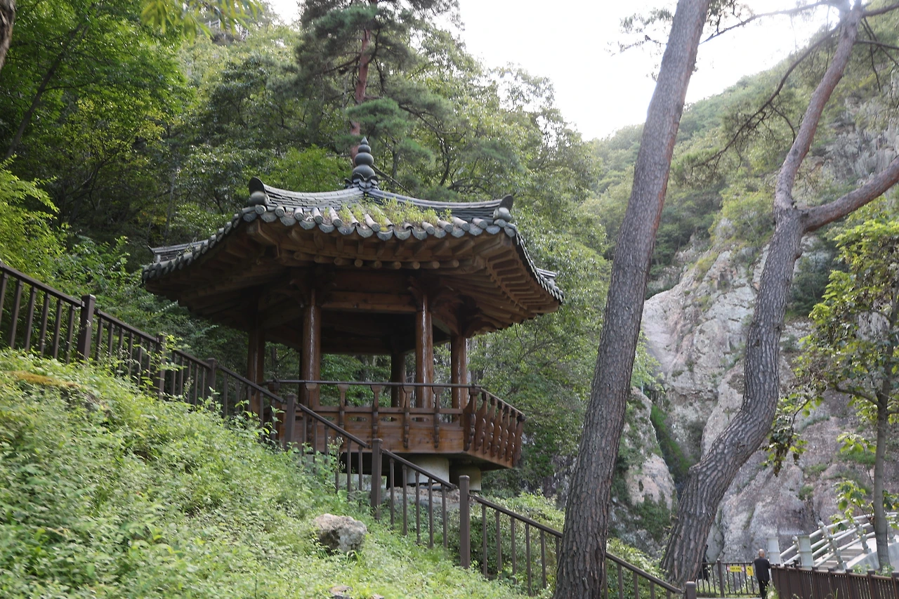 0R5A2473_новый размер.JPG