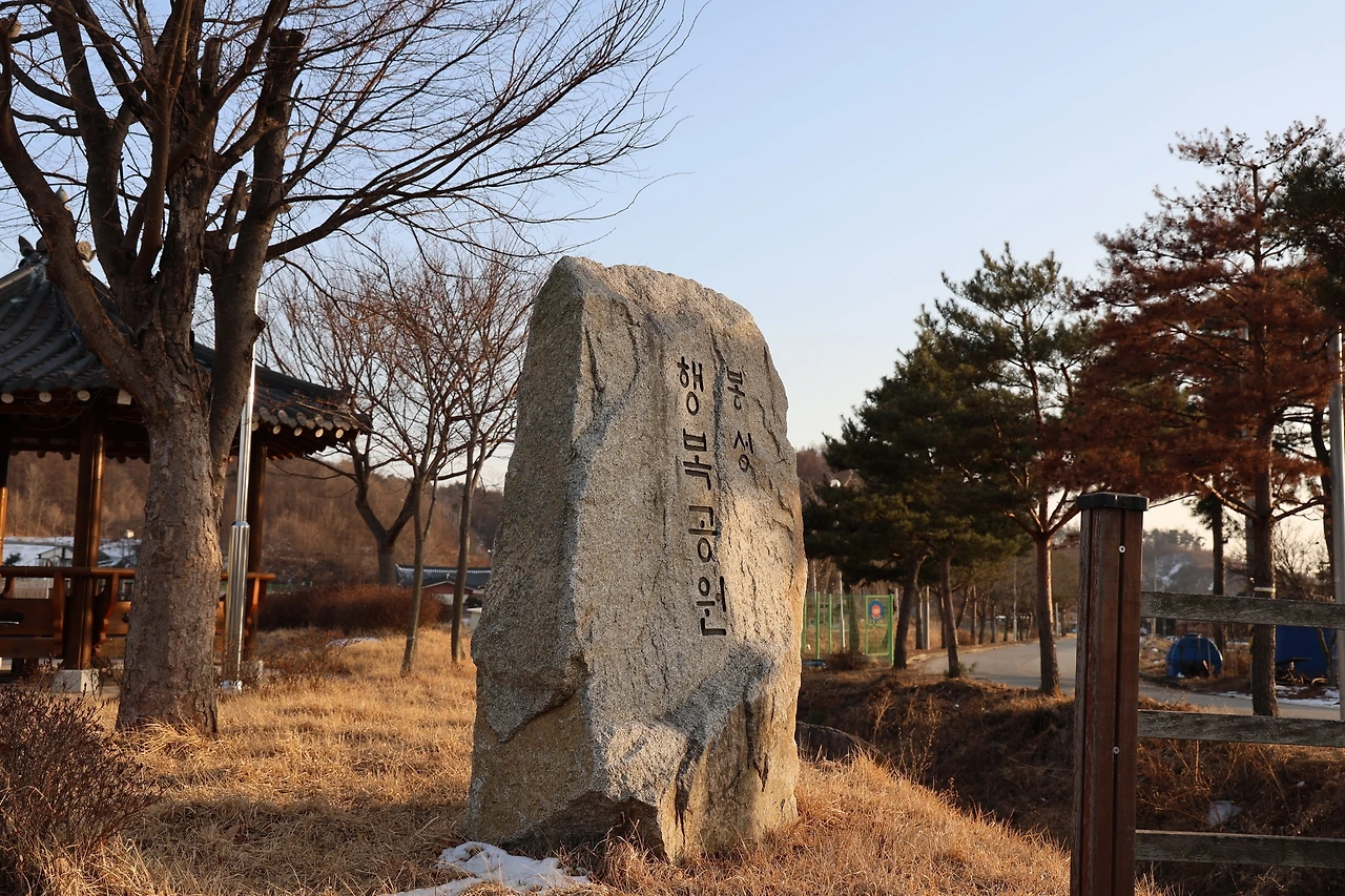 0R5A9398_новый размер.JPG