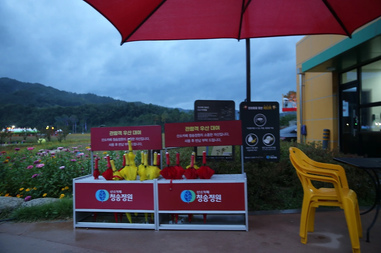 MG0A5776_новый размер.JPG