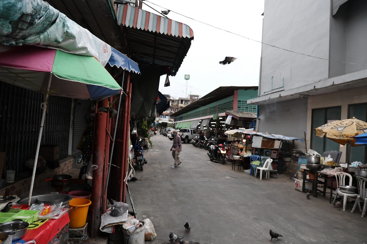 0R5A0376_новый размер.JPG