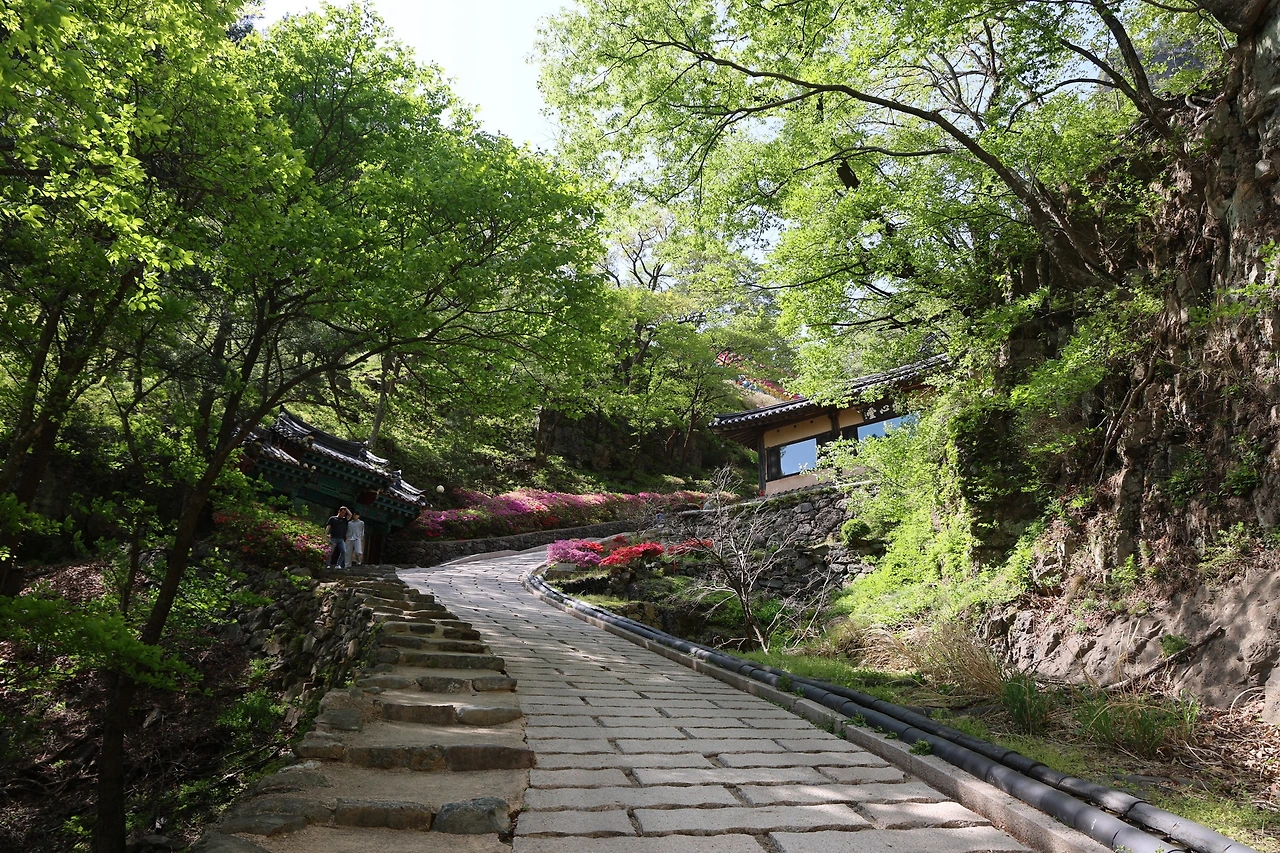 0R5A9608_новый размер.JPG